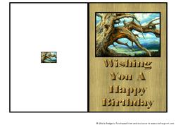 Quick Card - Bristlecone Pine