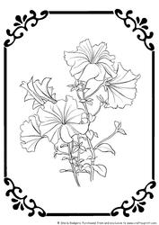 Digital Stamp - Petunias in Frame