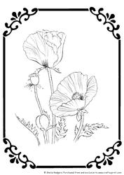 Digital Stamp - Poppies in Frame