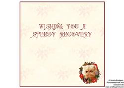 Cream Kitten Wreath Insert - Get Well Soon