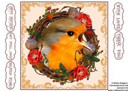 Robin Wreath