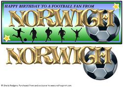 Football Fan from - Norwich