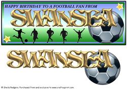 Football Fan from - Swansea
