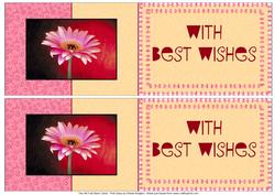 Two A6 Fold Back Cards - Pink Daisy