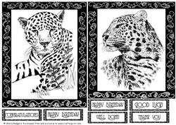Monochrome Leopard Toppers