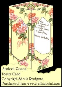 Tower Card - Apricot Roses