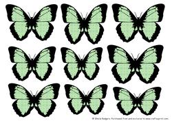 Butterfly 1 Embellishments 5