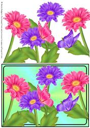 Gerberas and Butterflies