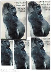 George the Gorilla