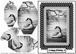 Monochrome Lace - Duck