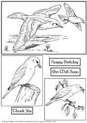 Digi Stamp - Bluebirds
