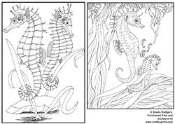 Digi Stamp - Seahorses