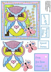 6x6 Owl 4