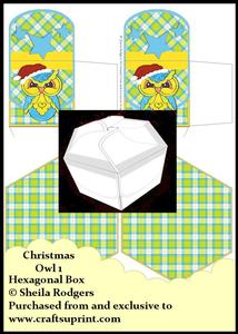 Hexagonal Box - Christmas Owl 1