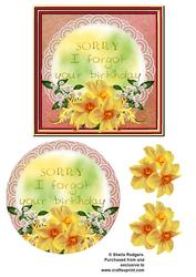 Belated Birthday Daffodils