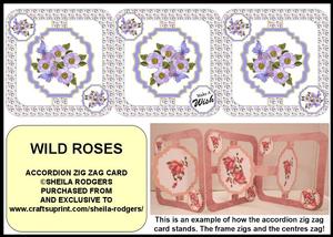 Accordion Zig Zag Card - Wild Roses