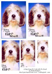 A Dog Wags It's Tail with It's Heart!