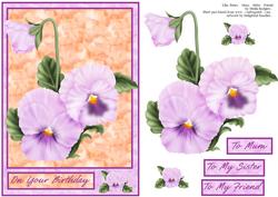Lilac Pansy, Mum, Sister, Friend