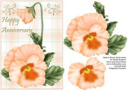 Apricot Pansy Anniversary