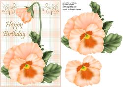 Apricot Pansy Birthday