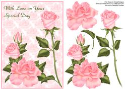Pink Roses