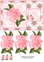 Pink Rose Landscape
