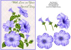 Blue Petunias 3