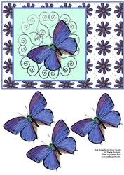 Blue Butterfly on Silver Scrolls