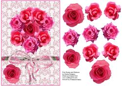 Pink Roses and Ribbons