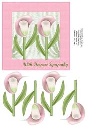 Cala Lilies Sympathy
