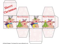 All in One Gift Box - Reindeer