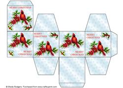 All in One Gift Box - Red Cardinal