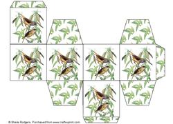 All in One Gift Box - Connecticut Warblers