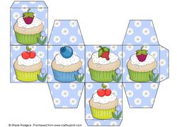 All in One Gift Box - Cupcakes