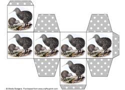 All in One Gift Box - Kiwis