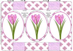 Pink Crocus Oval Folded Pop Out Card