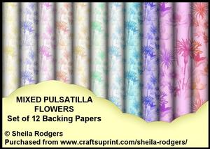 Mixed Pulsatilla Flowers - Set of 12 Backing Papers