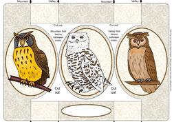 Owls Pop Out Card