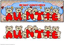 Large Dl Merry Christmas Auntie