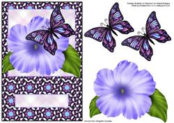 Fantasy Butterfly on Petunia 2