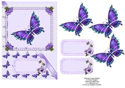Beautiful Purple Butterfly