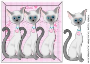 Three Grey Cats Mini Kit