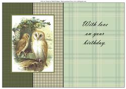 Owls on Tartan