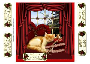 Pampered Christmas Cat