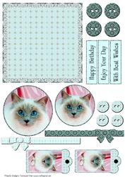 Mix'n'match - Blue Eyed Cat