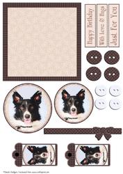 Mix'n'match - Border Collie