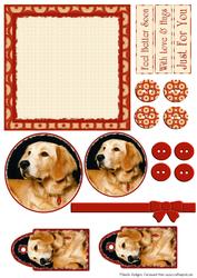 Mix'n'match - Retriever