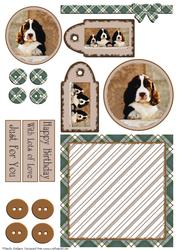 Mix'n'match - Spaniel