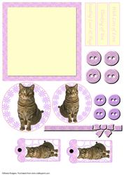 Mix'n'match - Tabby Cat