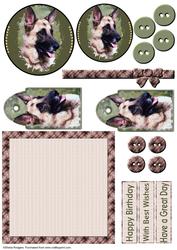 Mix'n'match - German Shepherd